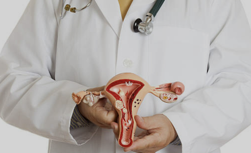 자궁근종 증상 수술후 회복기간 수술비용 좋은음식 등 총정리(최신)