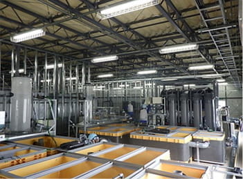 후쿠시마 제1원전 오염수 처리수 누출 사고 토양