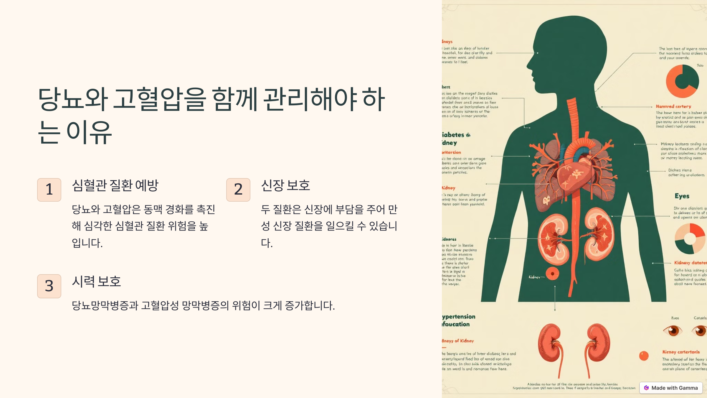당뇨와 혈압의 관계