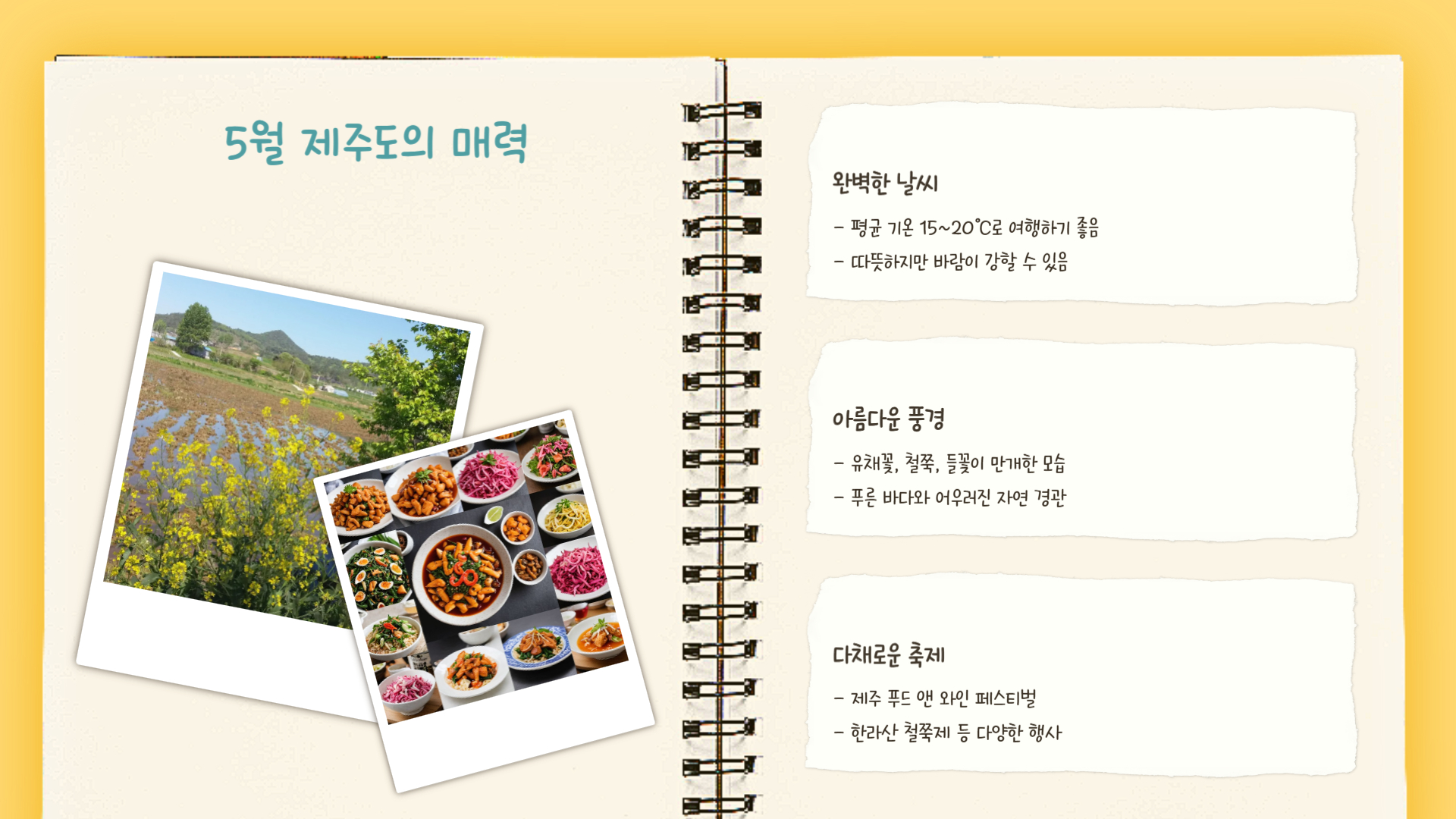 5월 제주도 여행 꿀팁 완벽한 제주 여행 계획