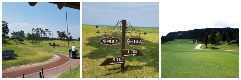 동해 낙산대 체력단련장 사진 3개