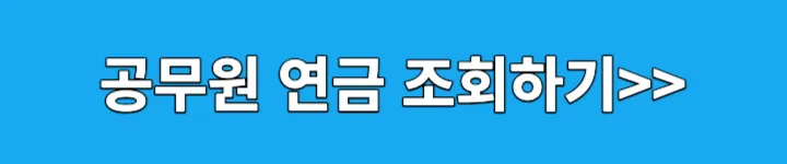 공무원 연금 조회하기