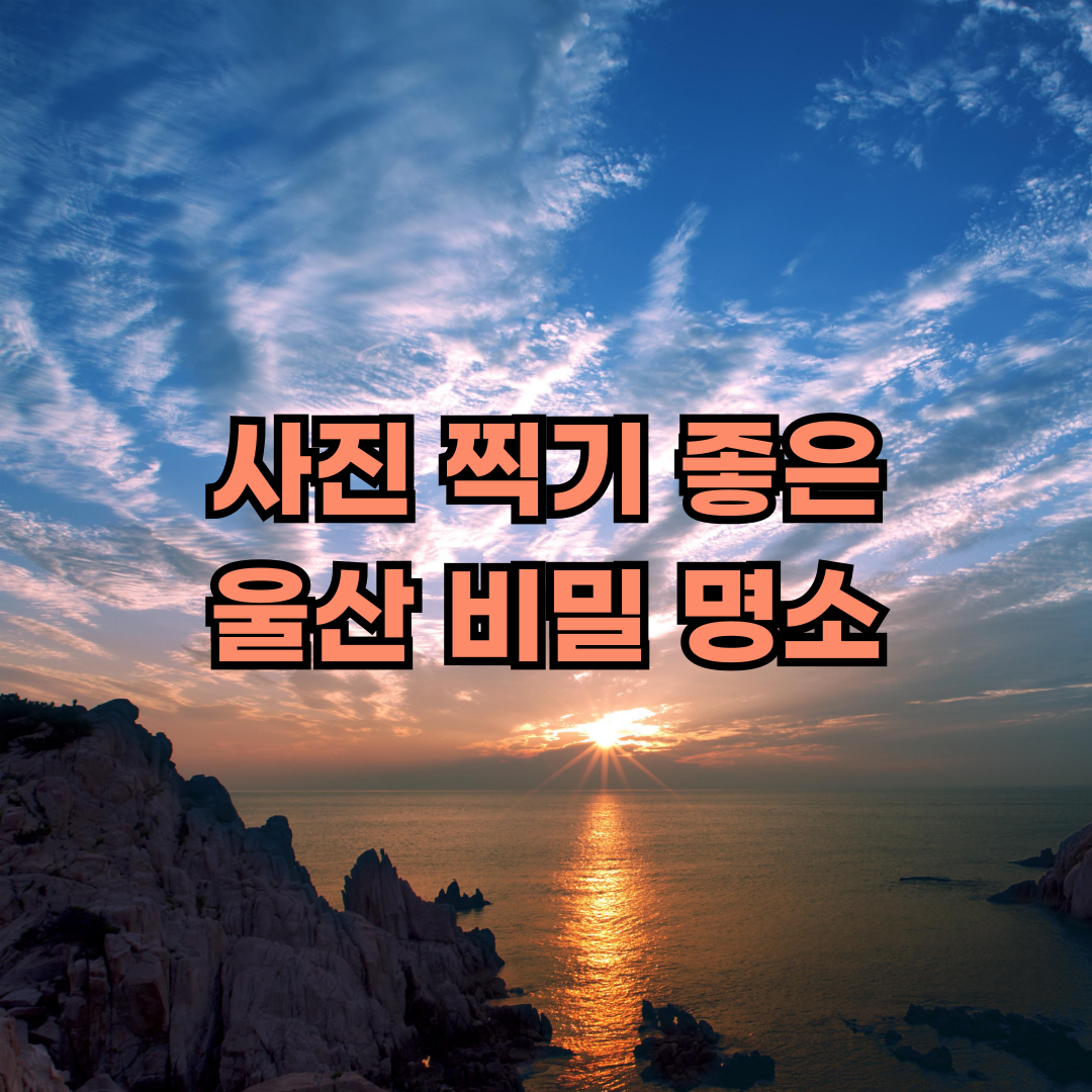 울산 명소 추천
