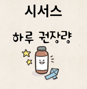 시서스 하루 권장량