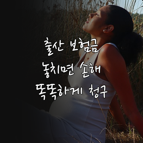 출산 보험금 똑똑하게 청구하는 방법