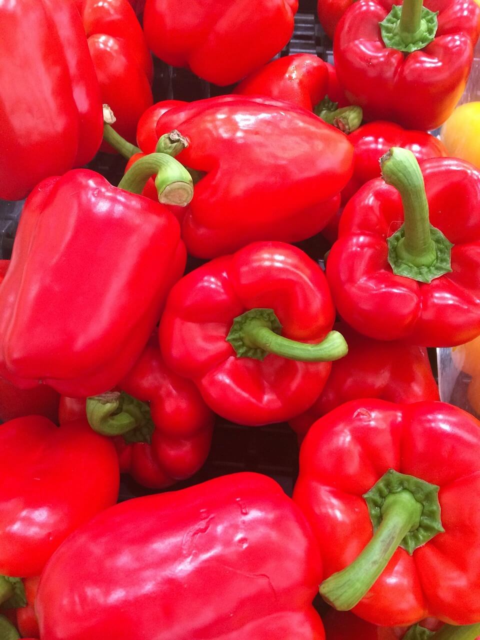 코스트코 전국 매장 2025년 4월 휴무일