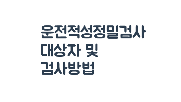 운전적성정밀검사방법