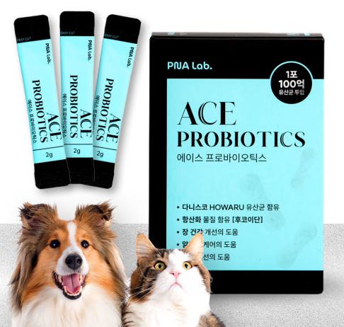 강아지-프로바이오틱스-PNA-LAB