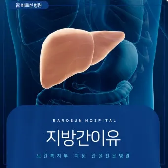 비알콜성 지방간 없애는 방법 운동 식단 중심 회복법 정리_15