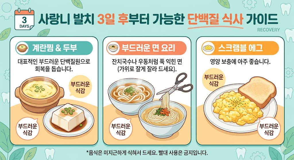 사랑니 발치 3일 후부터 가능한 계란찜과 두부 단백질 식사