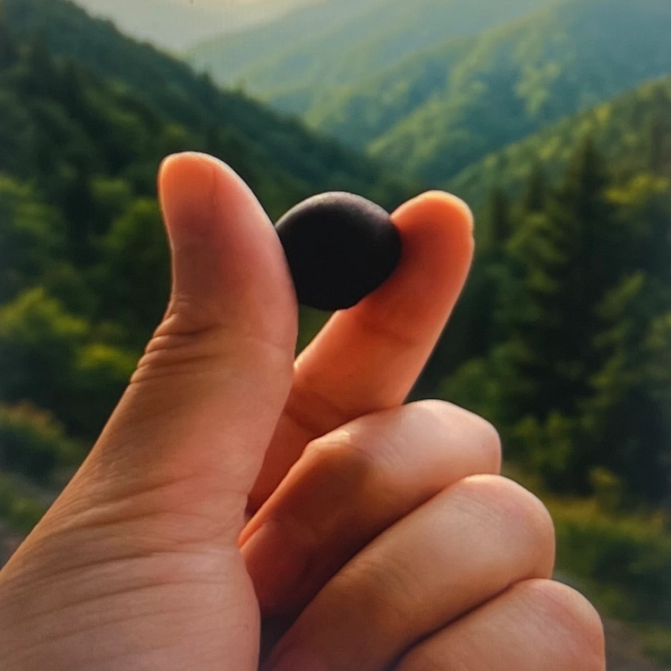 약재도감-침향환-내돈내산-후기-글-작성위해-찍은-환-사진