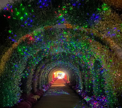 피나클랜드/국화축제/불꽃축제