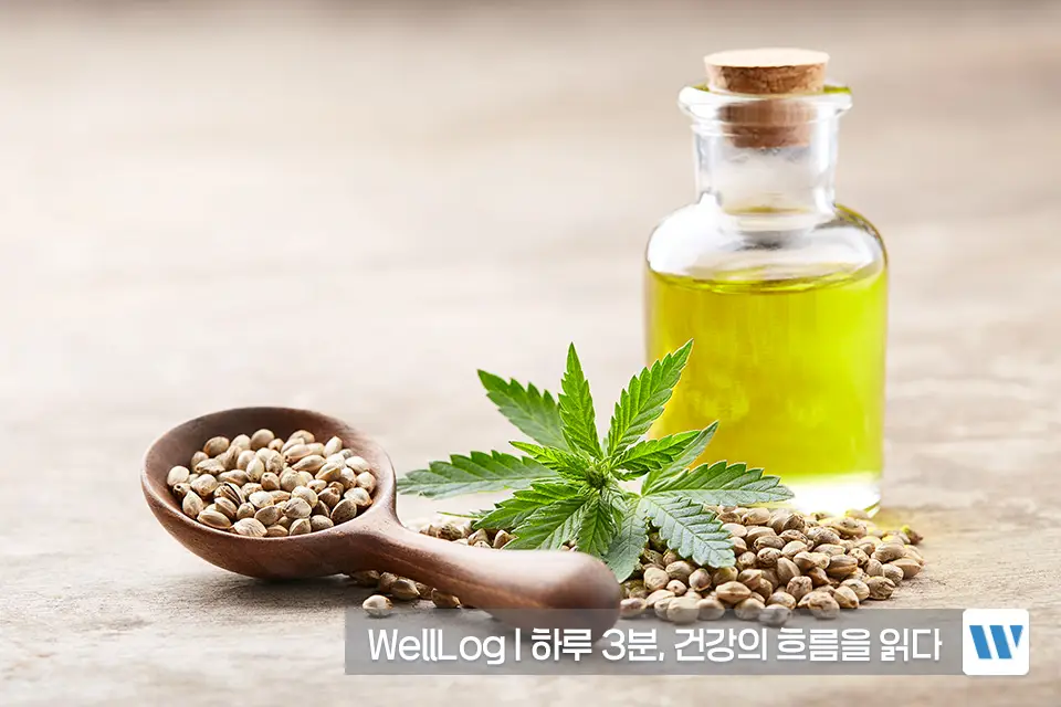 햄프씨드 효능 단백질 오메가3 항산화