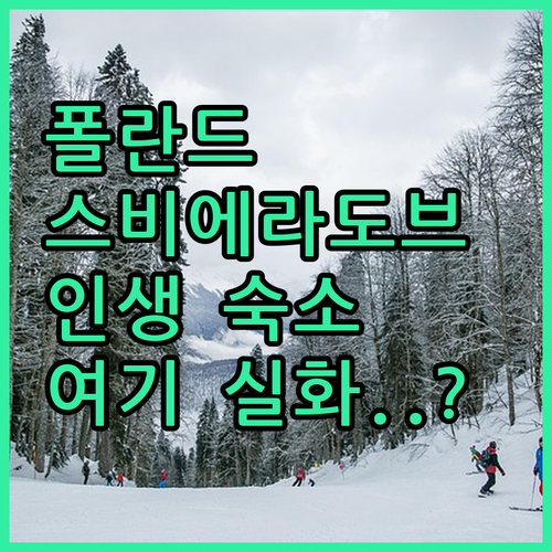 폴란드 스비에라도브 즈드로이 여행 중..