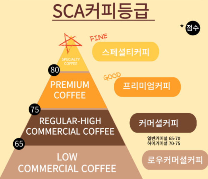 커피등급. 스페셜티 커피