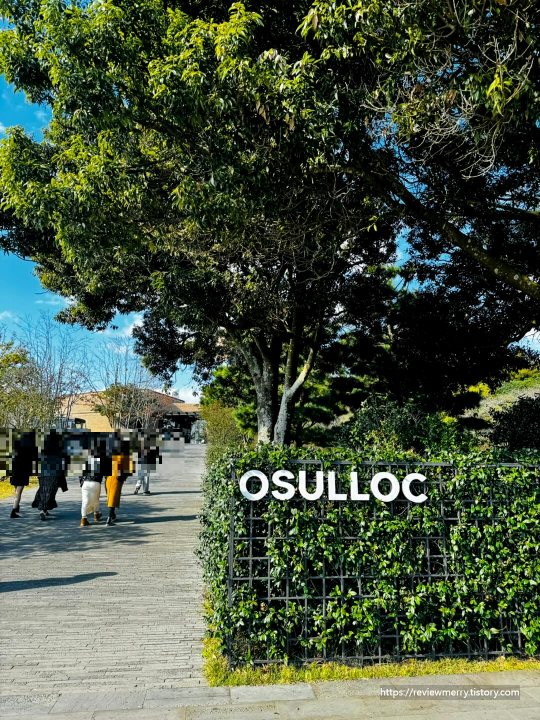 오설록 올라가는 길