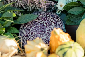 장염 걸렸을때 먹어도 되는음식