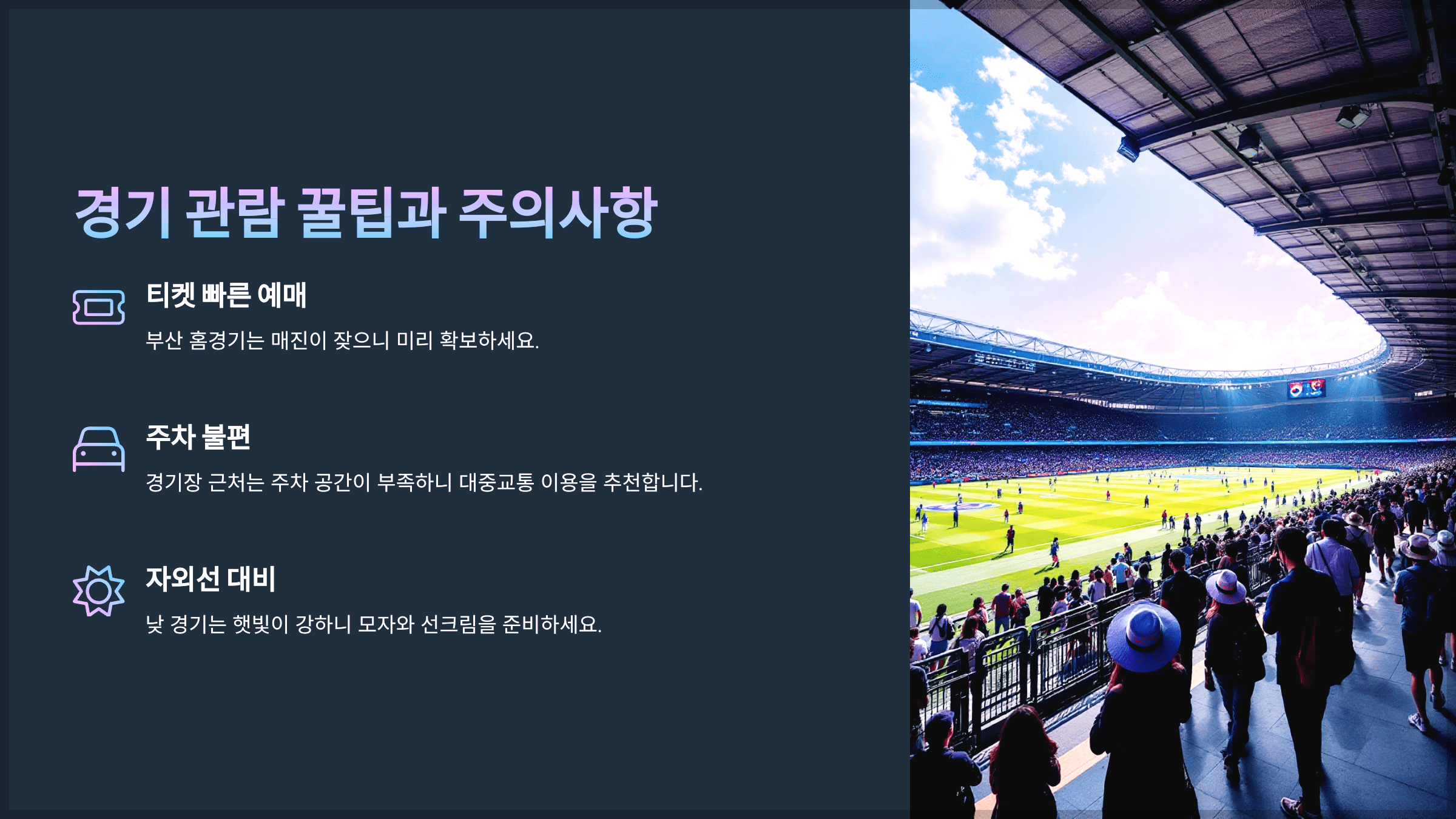 경기 관람 꿀팁과 주의사항
