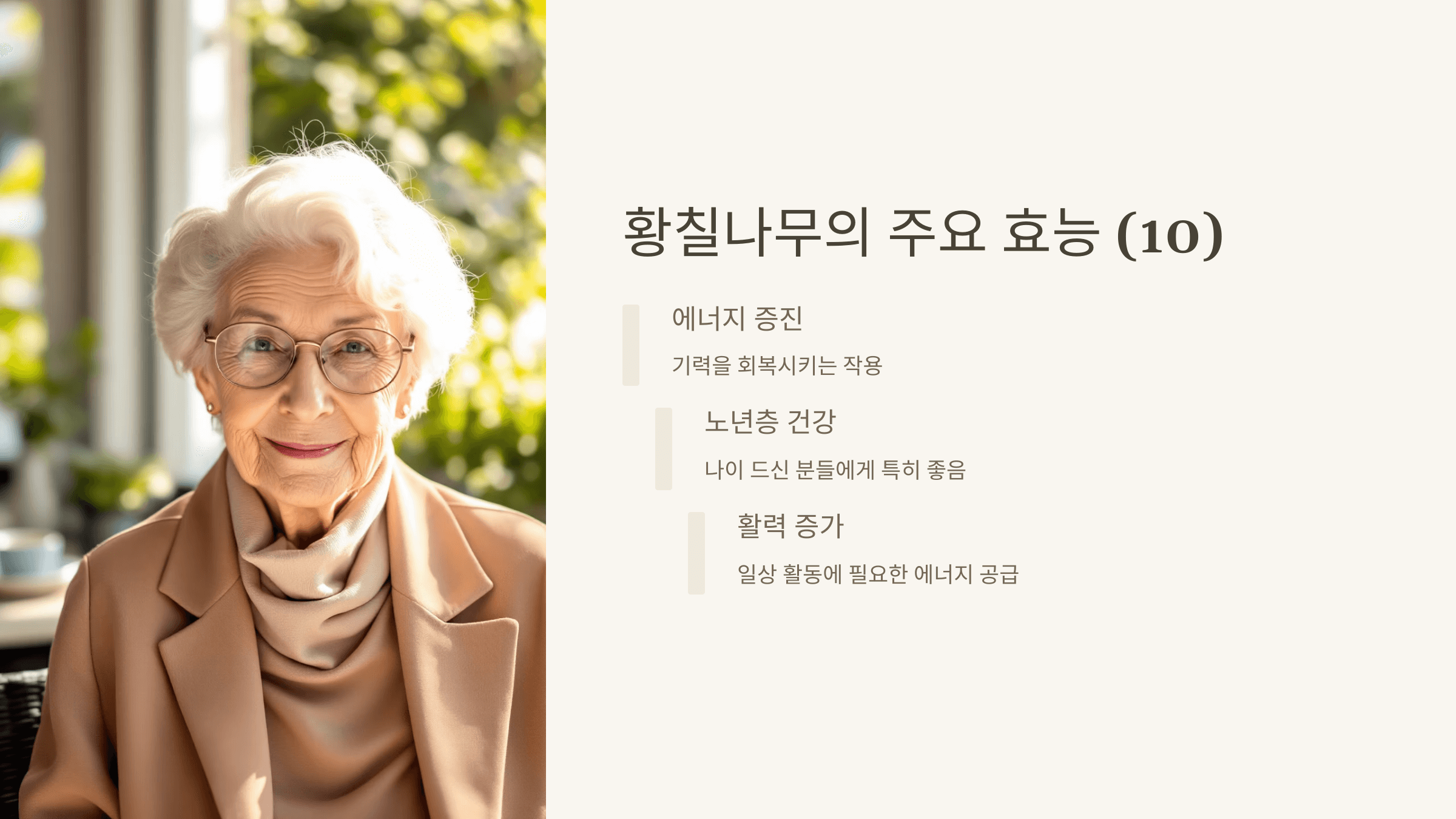 황칠나무 사진입니다.