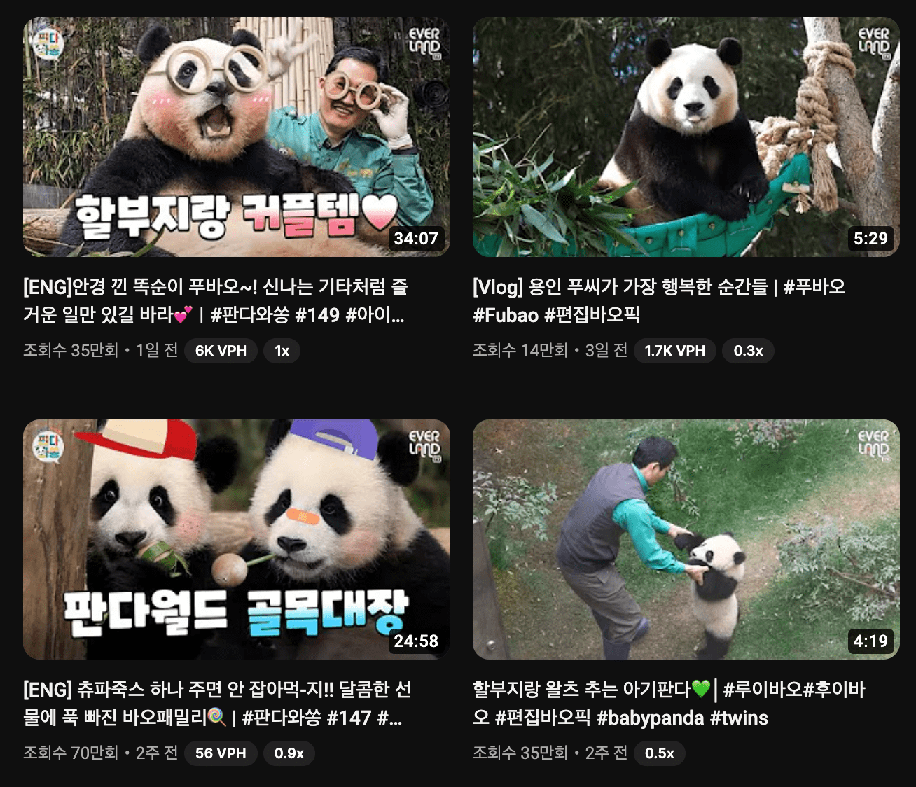 푸바오 유튜브 라이브 방송