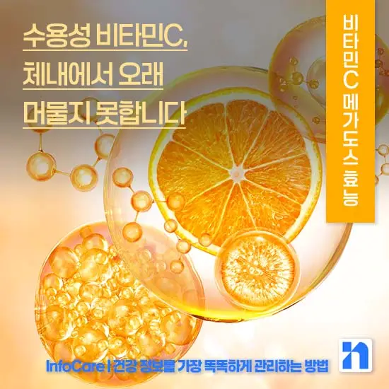 비타민C 메가도스 효능