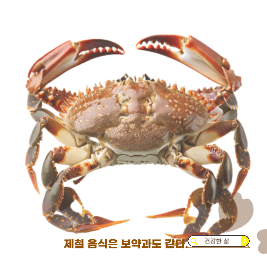 11월 제철회