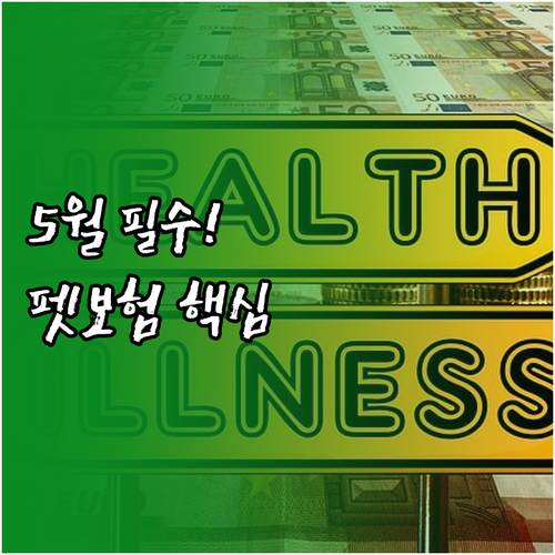 2025년 5월부터 달라지는 펫보험 ..