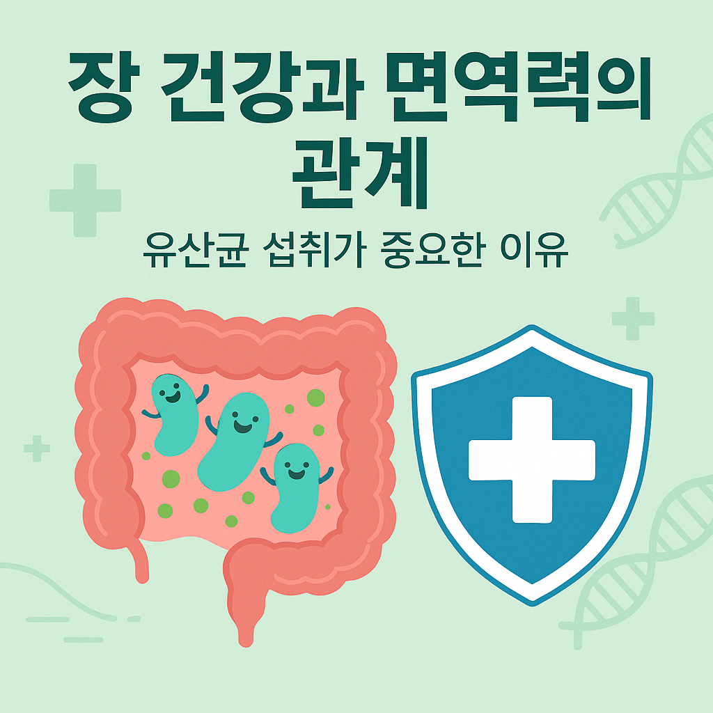 장 건강과 면역력의 관계, 유산균 섭취가 중요한 이유