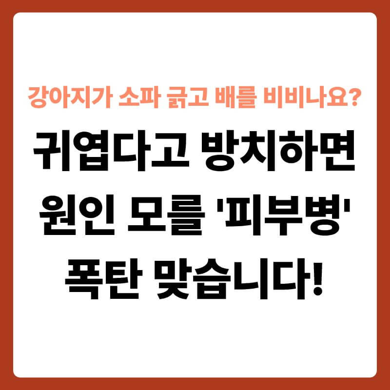 거실 패브릭 소파면을 앞발로 격렬하게 긁어대며 몸을 비비고 있는 강아지의 모습 옆으로, 소파 섬유 조직 내부가 투명한 3D 과학 그래픽으로 확대된 단면