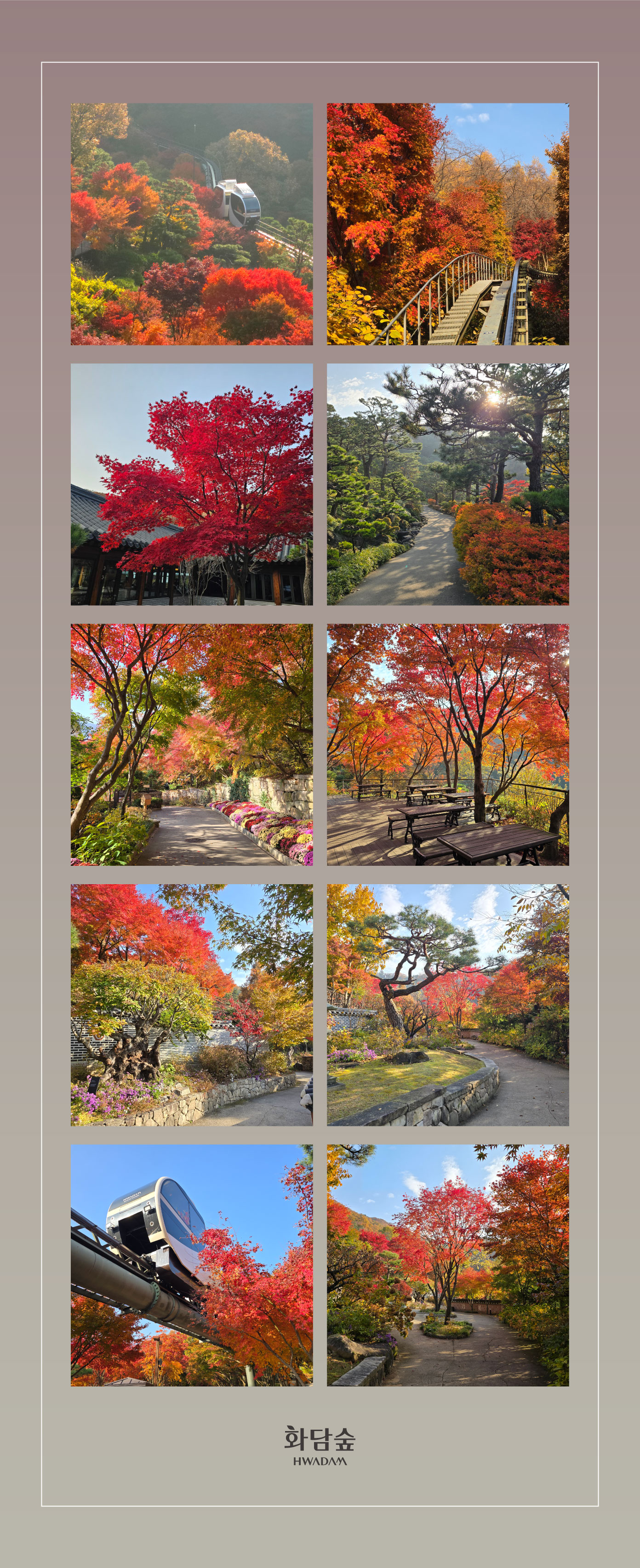 🌿 2025 화담숲 예약 완벽 가이드｜모노레일&middot;입장권 예매 꿀팁 총정리