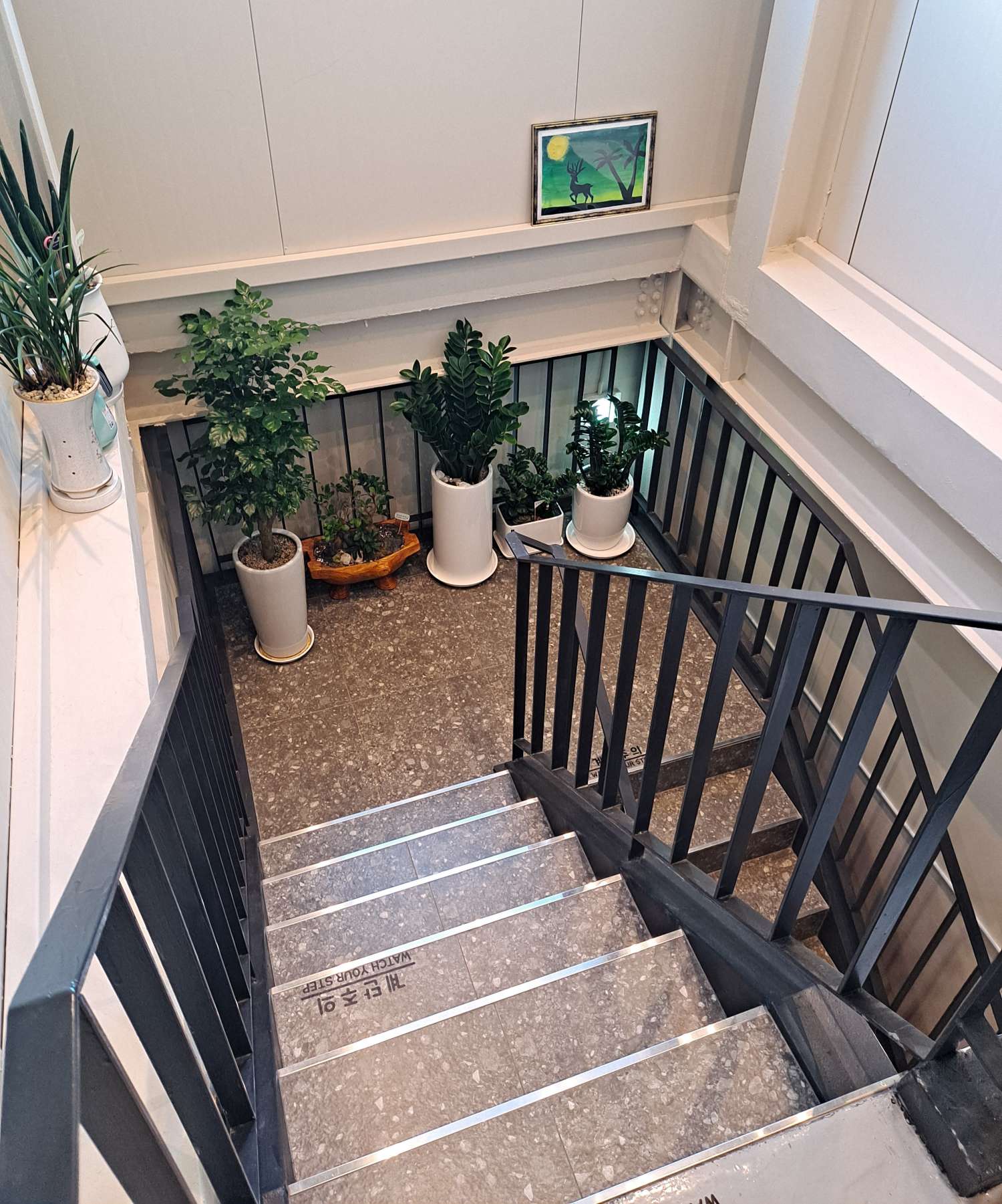 토프레소 3층게단