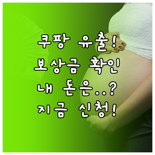 쿠팡 개인정보 유출 사고 보상금 지급..