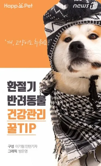 반려동물관리사 자격 교육커리큘럼 실습장비 취업처_21
