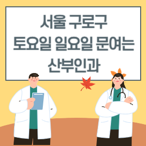 서울 구로구 토요일 일요일 산부인과 진료 병원 리스트