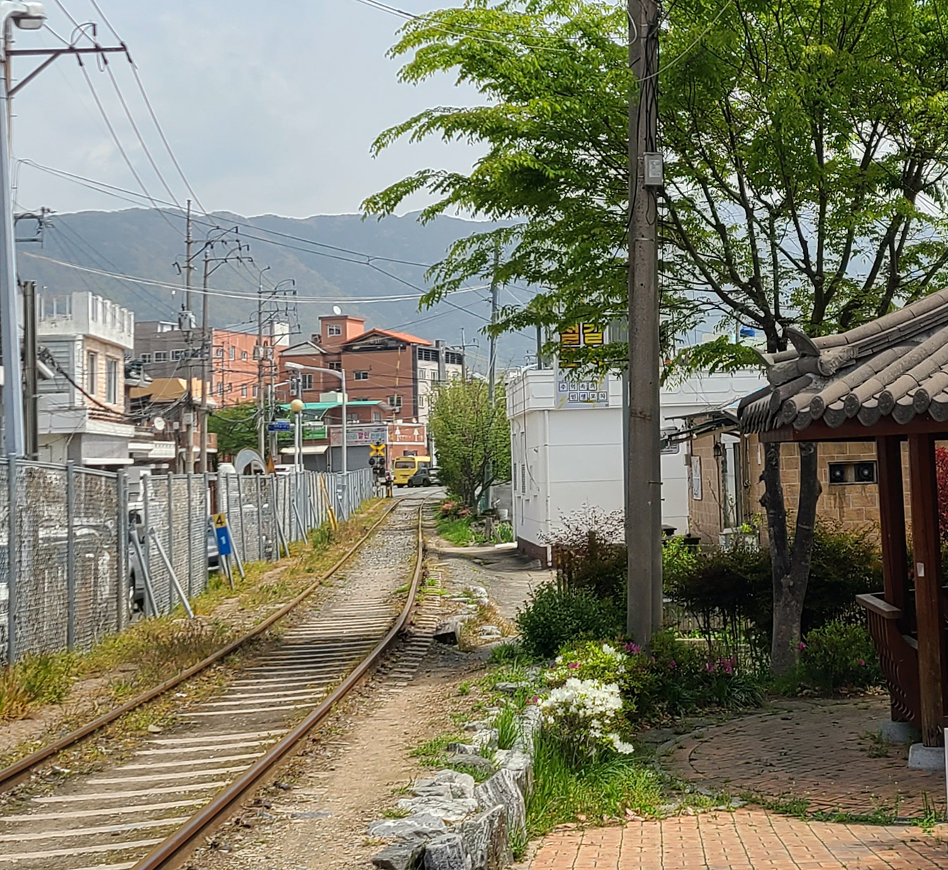 Romantian (로맨티앙)