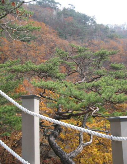 2025 경기도 단풍 명산 BEST ❘ 북한산&middot;남한산성&middot;광교산 등 추천 코스