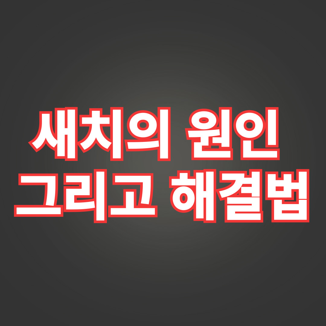 새치의 원인 그리고 해결법