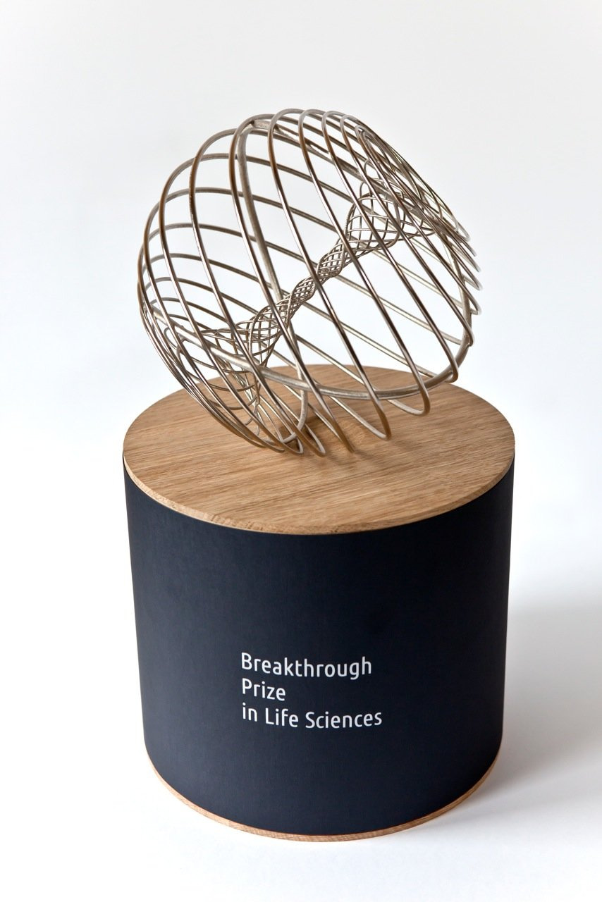 실리콘밸리의 유명 정보기술(IT) 기업 창업자들이 모여 만든 브레이크스루상의 상패. 브레이크스루재단은 매년 물리학, 생명과학, 수학 분야에서 뛰어난 성과를 보인 연구자를 선정해 상패와 함께 주제당 최대 300만 달러의 상금을 수여하고 있다. 브레이크스루제단 제공