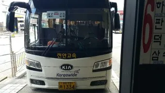 태백 고한 도계 시외버스 터미널 시간표 예매 요금_23