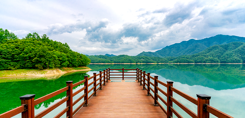 소(牛)맥 프리미엄 페스티벌