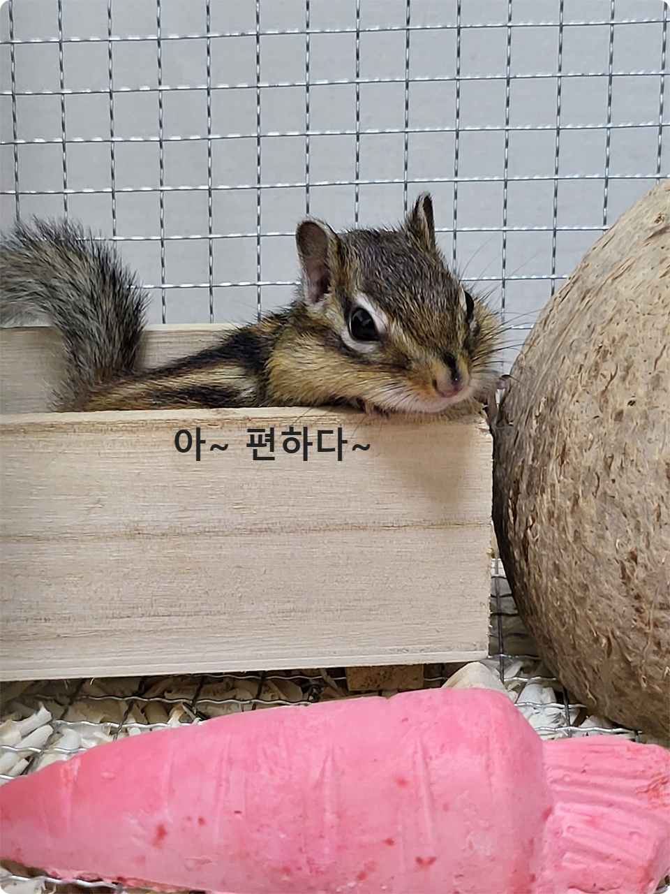집사야~ 모래 놀이장이 너무 좋아