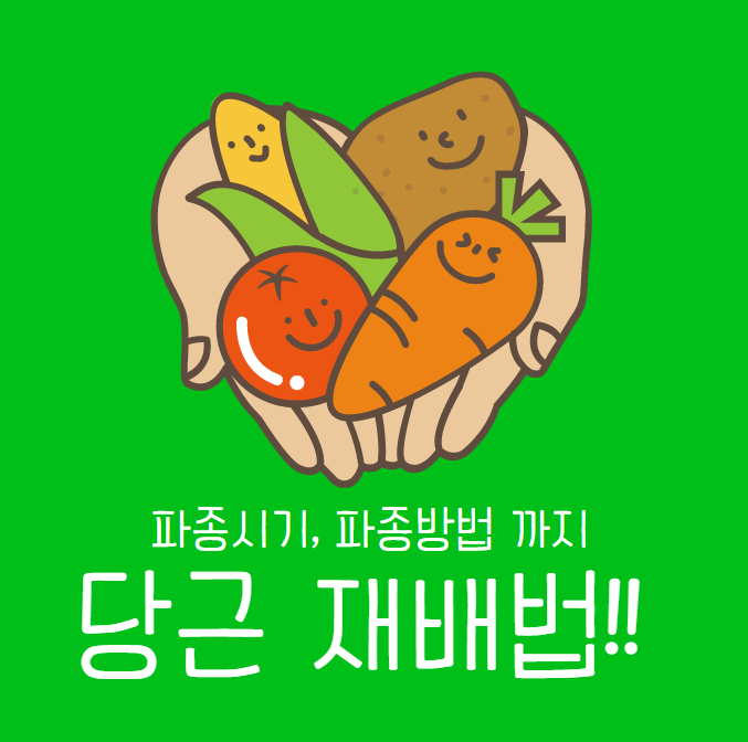 당근