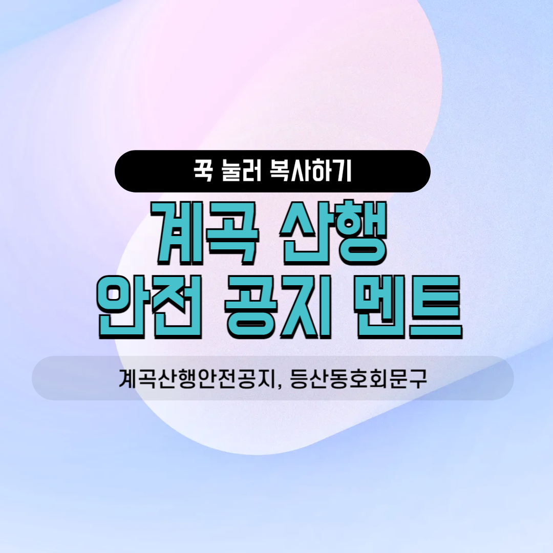 계곡 산행 안전 공지 등산 동호회 카톡 안내 멘트 여름철 산행 주의사항 친목 모임 밴드 문구 사내 소모임 연락방