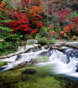 가을 단풍 명소 추천 BEST