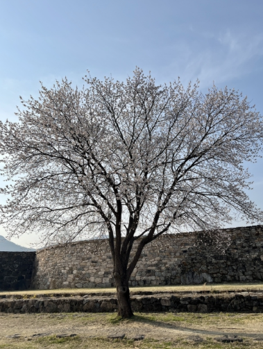 순천 가볼만한곳 베스트10