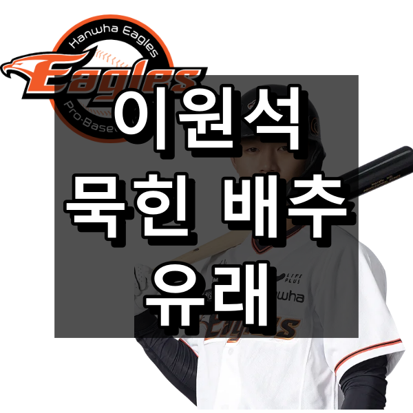 이원석 묵힌배추 대표 이미지