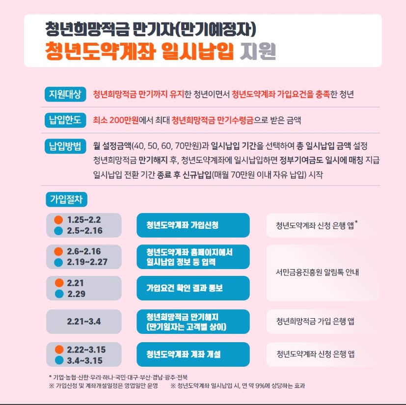청년희망적금 만기자 청년도약계좌 일시납입 지원