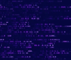 코딩 언어 예시