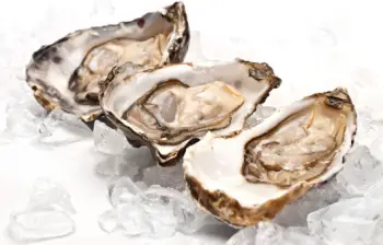 통영굴 직거래 가격&amp;#44; 효능 및 영양성분 부작용