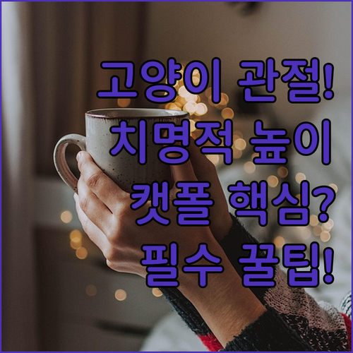 수직 스크래칭 높이가 관절에 치명타 ..